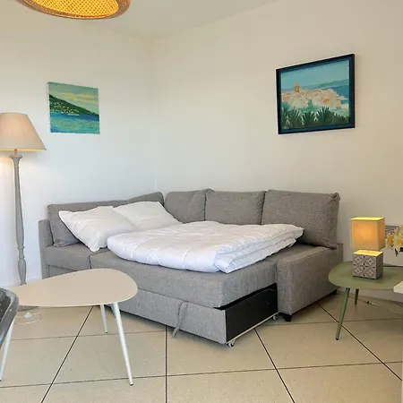 Apartment 3 Pieces Avec Parking, Animaux Admis, - Fr-1-251-374