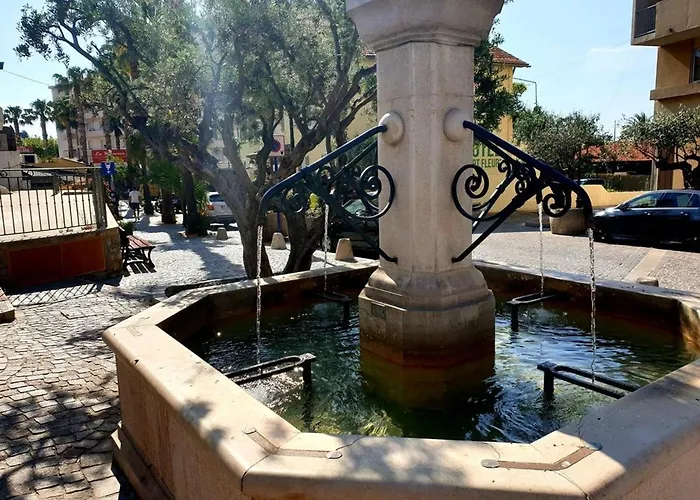 Lägenhet 3 Pieces Avec Parking, Animaux Admis, - Fr-1-251-374 Le Lavandou