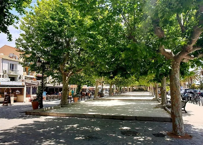 3 Pieces Avec Parking, Animaux Admis, - Fr-1-251-374 Le Lavandou