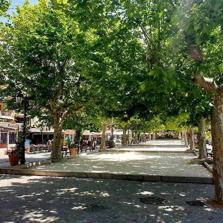 3 Pièces Avec Parking, Animaux Admis, - Fr-1-251-374 Le Lavandou