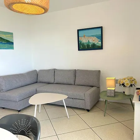 3 Pieces Avec Parking, Animaux Admis, - Fr-1-251-374 Le Lavandou