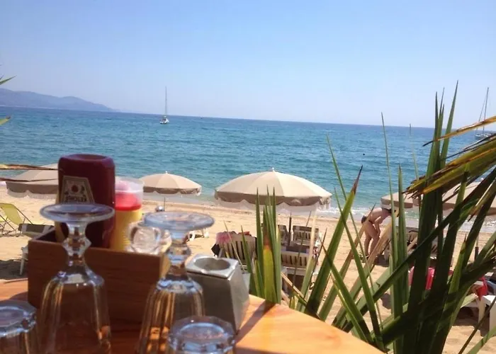 3 Pieces Avec Parking, Animaux Admis, - Fr-1-251-374 Apartman Le Lavandou