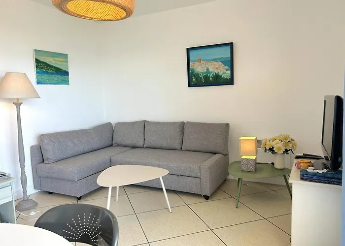 3 Pieces Avec Parking, Animaux Admis, - Fr-1-251-374 Le Lavandou