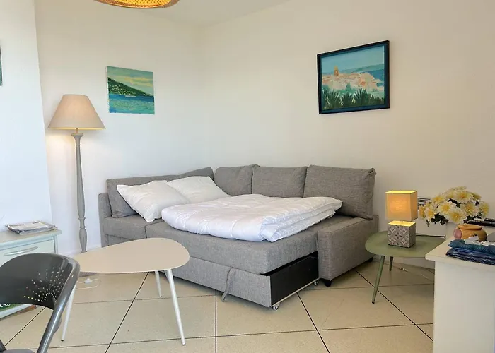 Apartman 3 Pieces Avec Parking, Animaux Admis, - Fr-1-251-374